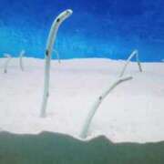 ヒメ日記 2025/05/15 00:59 投稿 モモコ On a best（オンナベスト）