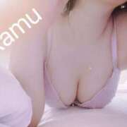 ヒメ日記 2024/12/17 20:09 投稿 ラム On a best（オンナベスト）