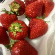 ヒメ日記 2025/04/20 11:49 投稿 ラム On a best（オンナベスト）