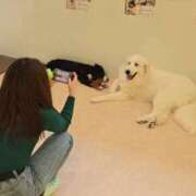 ヒメ日記 2025/04/24 21:51 投稿 ラム On a best（オンナベスト）