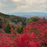 ヒメ日記 2025/11/20 20:13 投稿 ラム On a best（オンナベスト）