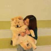 ヒメ日記 2025/12/16 20:13 投稿 ラム On a best（オンナベスト）