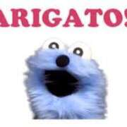 ヒメ日記 2026/03/01 19:16 投稿 ラム On a best（オンナベスト）