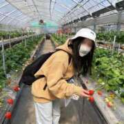 ヒメ日記 2026/03/31 20:12 投稿 ラム On a best（オンナベスト）