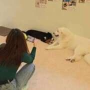 ヒメ日記 2026/04/05 19:18 投稿 ラム On a best（オンナベスト）