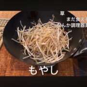 ヒメ日記 2025/10/31 13:10 投稿 セリナ On a best（オンナベスト）