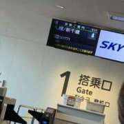 ヒメ日記 2025/12/11 09:24 投稿 セリナ On a best（オンナベスト）