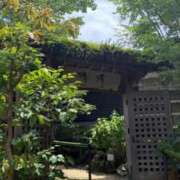 ヒメ日記 2026/07/07 19:52 投稿 セリナ On a best（オンナベスト）