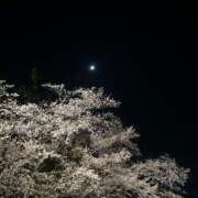 ヒメ日記 2025/04/05 23:31 投稿 ヒナノ On a best（オンナベスト）