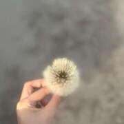 ヒメ日記 2025/04/13 01:59 投稿 ヒナノ On a best（オンナベスト）