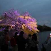 ヒメ日記 2025/03/30 20:09 投稿 ミルク On a best（オンナベスト）