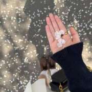 ヒメ日記 2025/04/03 00:59 投稿 ミルク On a best（オンナベスト）