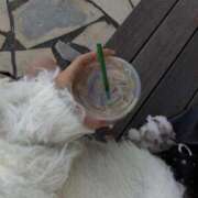 ヒメ日記 2025/11/16 14:00 投稿 ミルク On a best（オンナベスト）