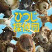 ヒメ日記 2026/05/20 22:35 投稿 ミリ On a best（オンナベスト）