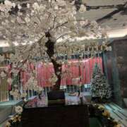 ヒメ日記 2024/12/21 04:39 投稿 マイカ On a best（オンナベスト）