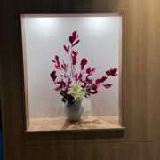 ヒメ日記 2025/02/23 03:39 投稿 マイカ On a best（オンナベスト）