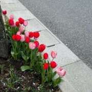 ヒメ日記 2025/04/08 04:19 投稿 マイカ On a best（オンナベスト）