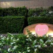 ヒメ日記 2025/05/20 16:29 投稿 マイカ On a best（オンナベスト）