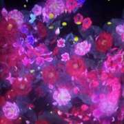 ヒメ日記 2025/06/07 20:12 投稿 マイカ On a best（オンナベスト）