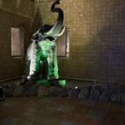 ヒメ日記 2025/10/13 16:17 投稿 マイカ On a best（オンナベスト）