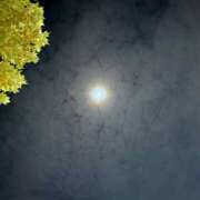 ヒメ日記 2025/11/07 00:31 投稿 マイカ On a best（オンナベスト）