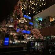 ヒメ日記 2026/03/12 20:56 投稿 マイカ On a best（オンナベスト）