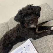 ヒメ日記 2024/12/06 13:49 投稿 フウカ On a best（オンナベスト）