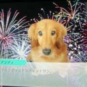 ヒメ日記 2024/12/07 13:39 投稿 フウカ On a best（オンナベスト）