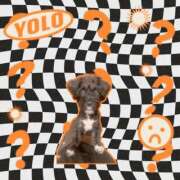 ヒメ日記 2024/12/08 15:19 投稿 フウカ On a best（オンナベスト）