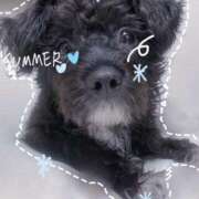 ヒメ日記 2024/12/11 00:39 投稿 フウカ On a best（オンナベスト）