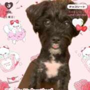 ヒメ日記 2024/12/19 17:09 投稿 フウカ On a best（オンナベスト）