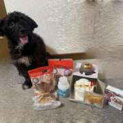 ヒメ日記 2024/12/26 22:59 投稿 フウカ On a best（オンナベスト）