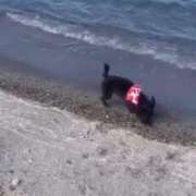 ヒメ日記 2024/12/27 16:49 投稿 フウカ On a best（オンナベスト）