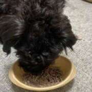 ヒメ日記 2025/01/04 17:09 投稿 フウカ On a best（オンナベスト）