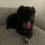 ヒメ日記 2025/01/05 23:54 投稿 フウカ On a best（オンナベスト）