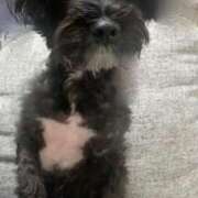 ヒメ日記 2025/01/06 22:19 投稿 フウカ On a best（オンナベスト）