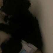 ヒメ日記 2025/01/08 23:49 投稿 フウカ On a best（オンナベスト）