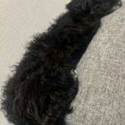 ヒメ日記 2025/01/27 22:09 投稿 フウカ On a best（オンナベスト）