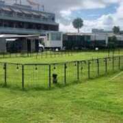 ヒメ日記 2025/01/29 21:39 投稿 フウカ On a best（オンナベスト）