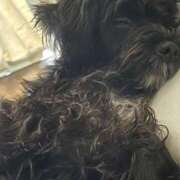 ヒメ日記 2025/01/30 23:49 投稿 フウカ On a best（オンナベスト）