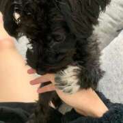 ヒメ日記 2025/02/04 23:59 投稿 フウカ On a best（オンナベスト）