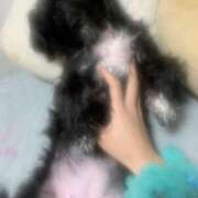 ヒメ日記 2025/02/07 22:59 投稿 フウカ On a best（オンナベスト）