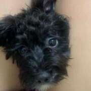 ヒメ日記 2025/02/14 22:36 投稿 フウカ On a best（オンナベスト）