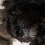 ヒメ日記 2025/02/17 23:49 投稿 フウカ On a best（オンナベスト）