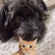 ヒメ日記 2025/02/18 22:39 投稿 フウカ On a best（オンナベスト）