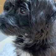 ヒメ日記 2025/02/20 22:39 投稿 フウカ On a best（オンナベスト）