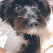 ヒメ日記 2025/02/21 22:49 投稿 フウカ On a best（オンナベスト）