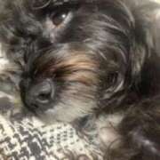 ヒメ日記 2025/02/24 22:39 投稿 フウカ On a best（オンナベスト）