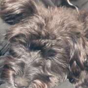 ヒメ日記 2025/02/25 22:49 投稿 フウカ On a best（オンナベスト）