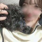 ヒメ日記 2025/03/01 22:29 投稿 フウカ On a best（オンナベスト）